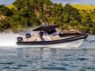 Protector 380 Chase - For Sale