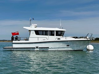 Sargo 31